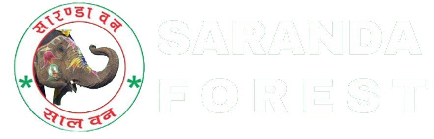 Saranda Forest - Jharkhand
