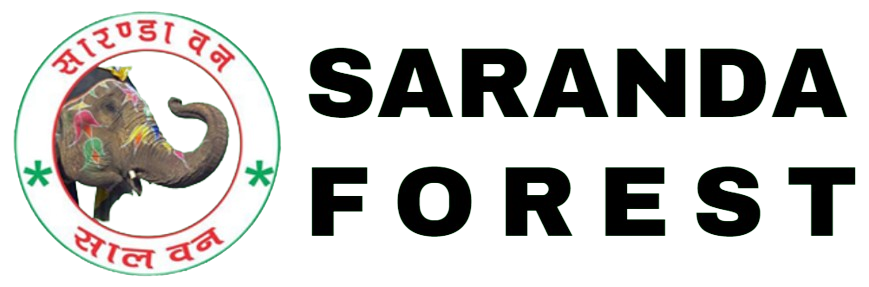 Saranda Forest - Jharkhand