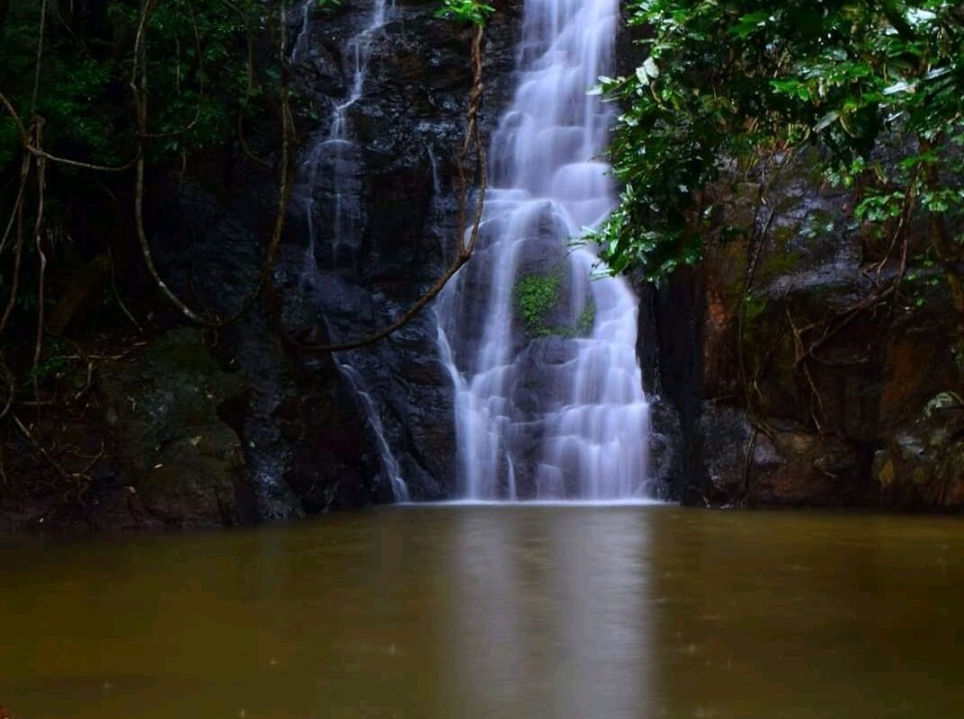 Tyboo Fall